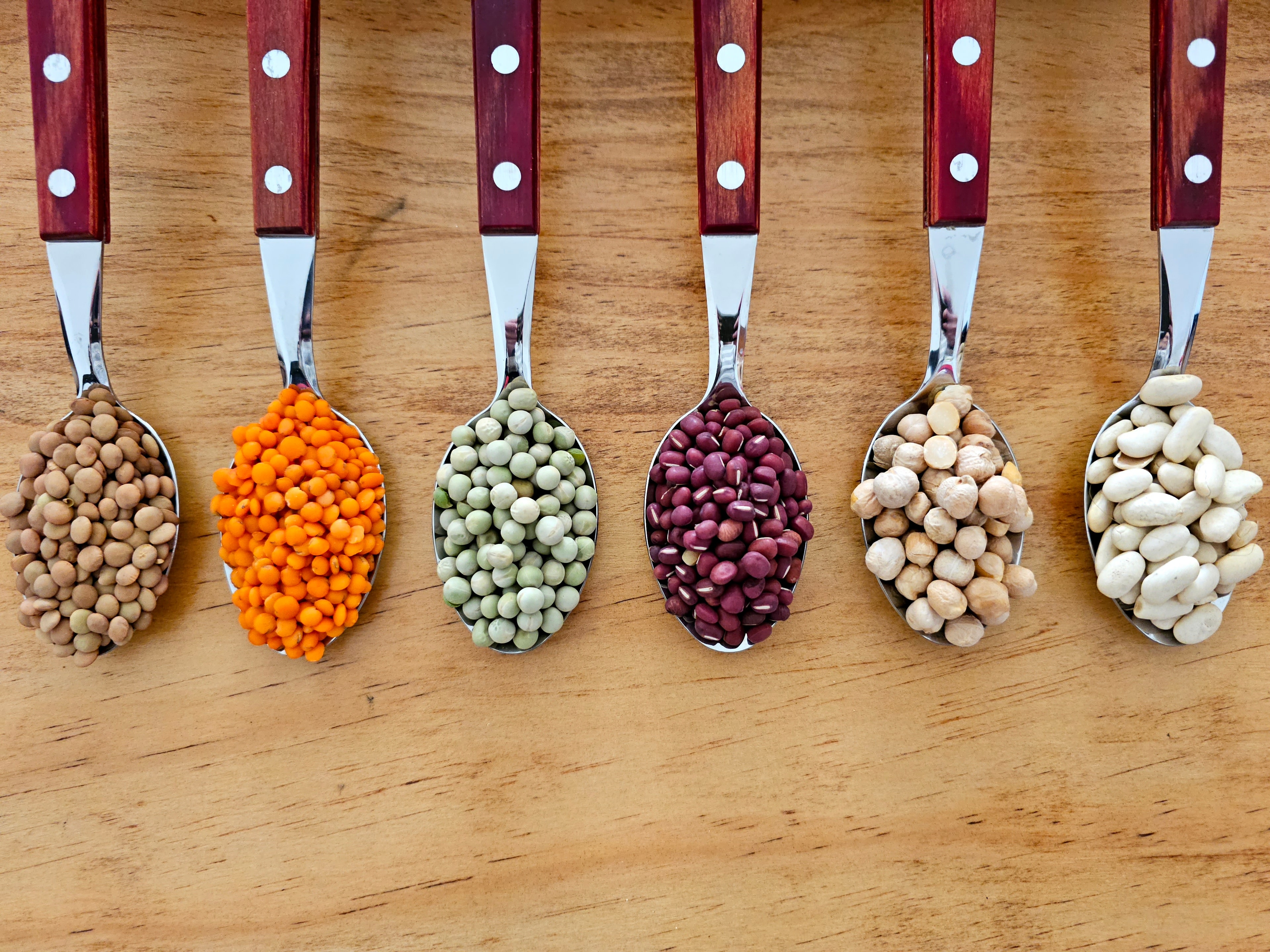 Imagen del servicio home: Recetarios terapéuticos